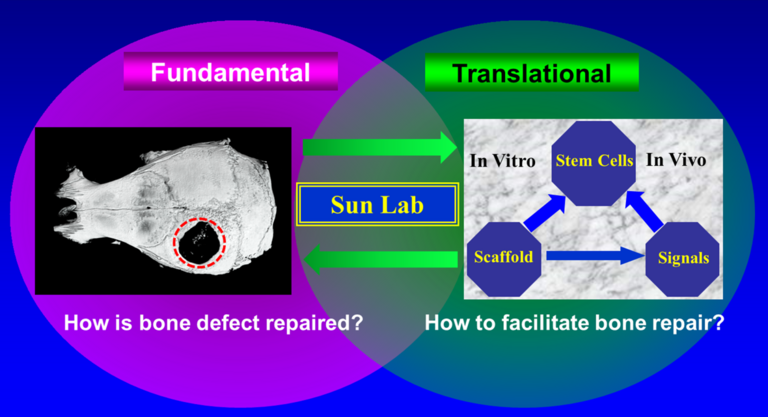 fundamental translational science 